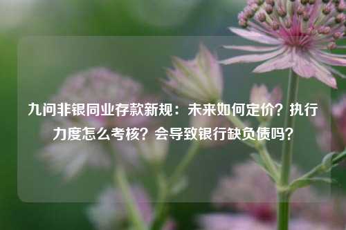 九问非银同业存款新规：未来如何定价？执行力度怎么考核？会导致银行缺负债吗？-第1张图片-特色小吃做法