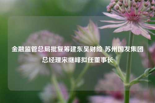 金融监管总局批复筹建东吴财险 苏州国发集团总经理宋继峰拟任董事长-第1张图片-特色小吃做法