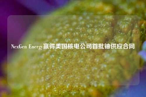 NexGen Energy赢得美国核电公司首批铀供应合同-第1张图片-特色小吃做法