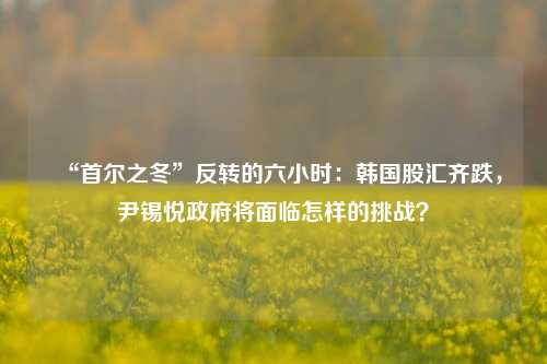 “首尔之冬”反转的六小时：韩国股汇齐跌，尹锡悦政府将面临怎样的挑战？-第1张图片-特色小吃做法