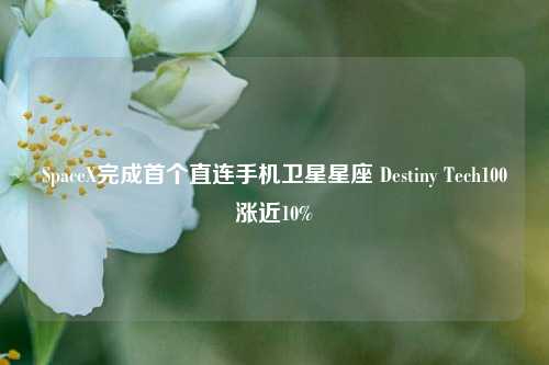 SpaceX完成首个直连手机卫星星座 Destiny Tech100涨近10%-第1张图片-特色小吃做法