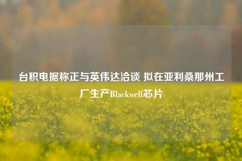 台积电据称正与英伟达洽谈 拟在亚利桑那州工厂生产Blackwell芯片-第1张图片-特色小吃做法