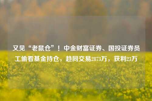 又见“老鼠仓”！中金财富证券、国投证券员工偷看基金持仓，趋同交易2873万，获利23万-第1张图片-特色小吃做法