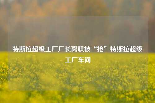 特斯拉超级工厂厂长离职被“抢”特斯拉超级工厂车间-第1张图片-特色小吃做法