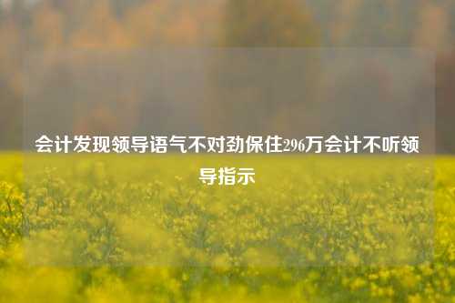 会计发现领导语气不对劲保住296万会计不听领导指示-第1张图片-特色小吃做法