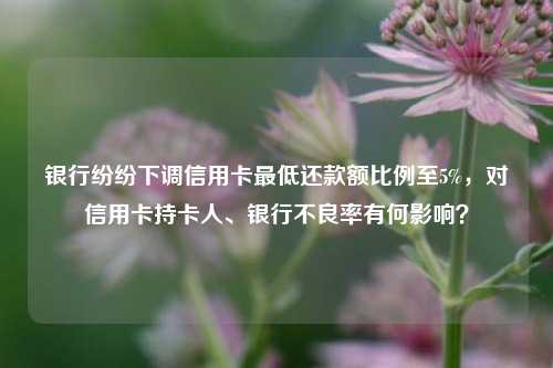 银行纷纷下调信用卡最低还款额比例至5%，对信用卡持卡人、银行不良率有何影响？