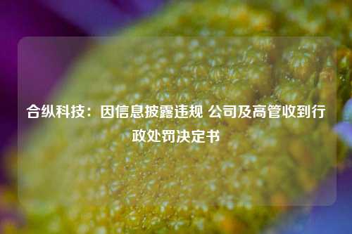 合纵科技：因信息披露违规 公司及高管收到行政处罚决定书