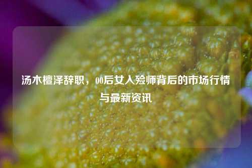 汤木檀泽辞职，00后女入殓师背后的市场行情与最新资讯