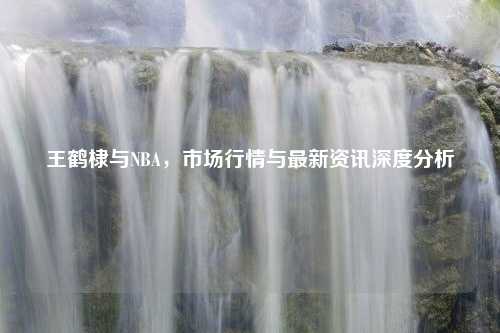 王鹤棣与NBA，市场行情与最新资讯深度分析