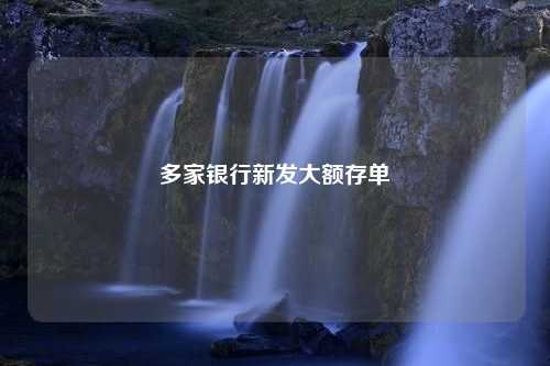 多家银行新发大额存单