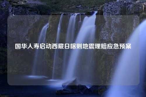 国华人寿启动西藏日喀则地震理赔应急预案