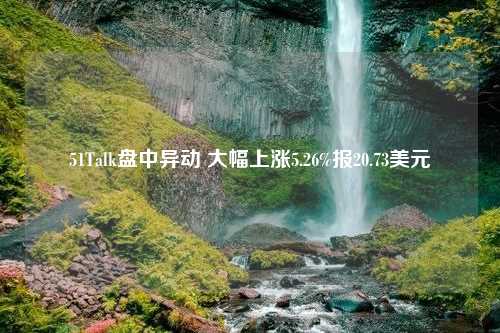 51Talk盘中异动 大幅上涨5.26%报20.73美元