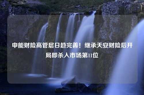 申能财险高管层日趋完善！继承天安财险后开局即杀入市场第11位