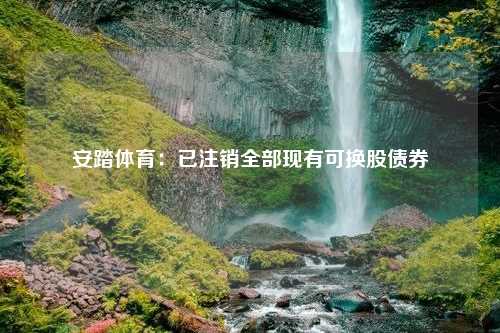 安踏体育：已注销全部现有可换股债券