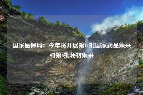 国家医保局：今年将开展第11批国家药品集采和第6批耗材集采