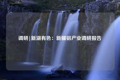 调研|新湖有色：新疆铝产业调研报告