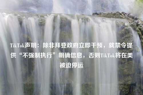 TikTok声明：除非拜登政府立即干预，就禁令提供“不强制执行”明确信息，否则TikTok将在美被迫停运