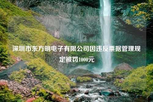 深圳市东方明电子有限公司因违反票据管理规定被罚1000元