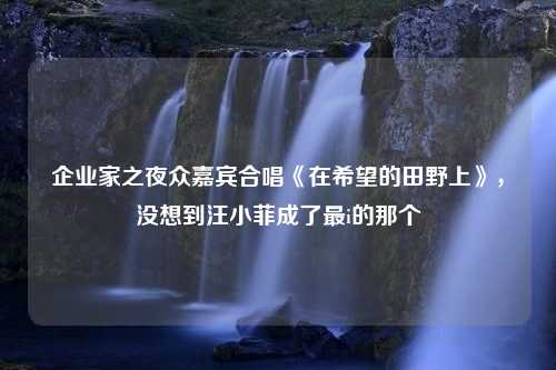 企业家之夜众嘉宾合唱《在希望的田野上》，没想到汪小菲成了最i的那个