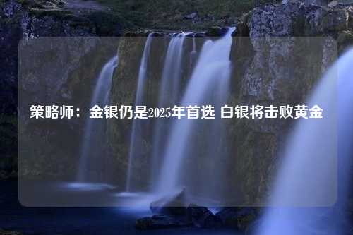 策略师：金银仍是2025年首选 白银将击败黄金