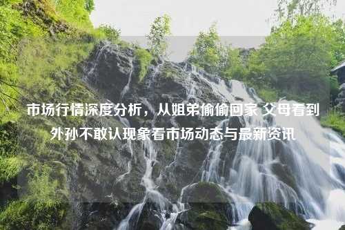 市场行情深度分析，从姐弟偷偷回家 父母看到外孙不敢认现象看市场动态与最新资讯