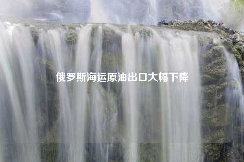 俄罗斯海运原油出口大幅下降