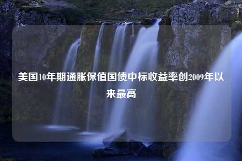 美国10年期通胀保值国债中标收益率创2009年以来最高