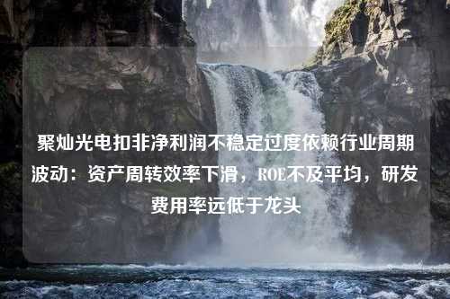 聚灿光电扣非净利润不稳定过度依赖行业周期波动：资产周转效率下滑，ROE不及平均，研发费用率远低于龙头