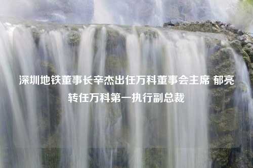 深圳地铁董事长辛杰出任万科董事会主席 郁亮转任万科第一执行副总裁