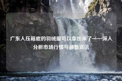 广东人压箱底的羽绒服可以拿出来了——深入分析市场行情与最新资讯