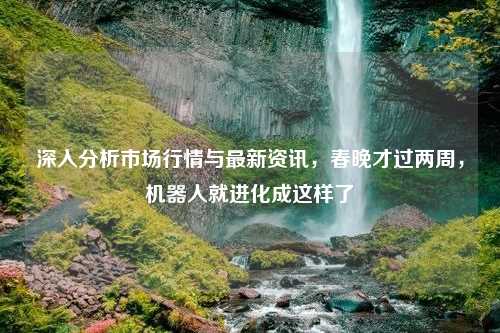 深入分析市场行情与最新资讯，春晚才过两周，机器人就进化成这样了