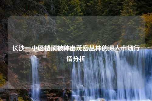 长沙一小区楼顶被种出茂密丛林的深入市场行情分析